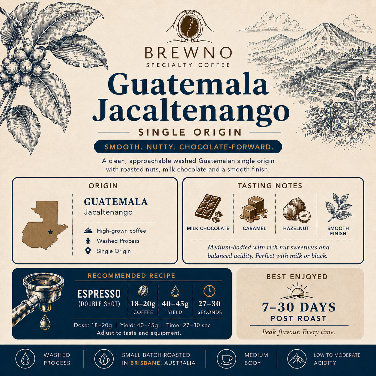 Guatemalan Single Origin Coffee | Washed Specialty Coffee | Brewno