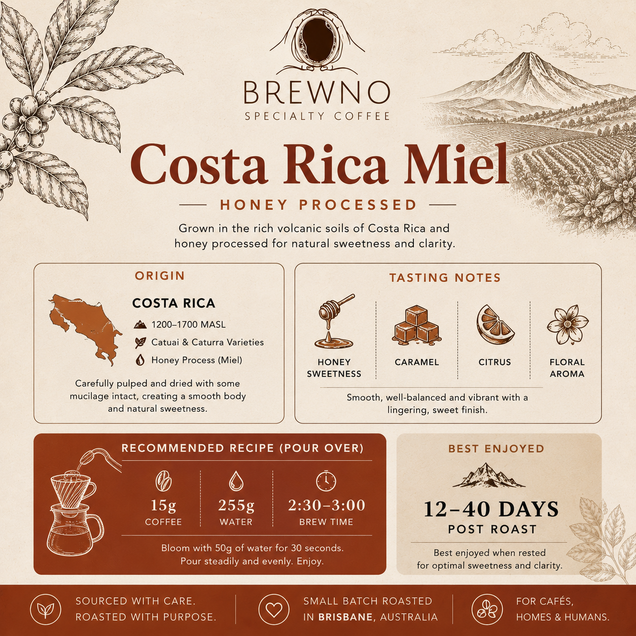 Costa Rica Miel | Honey Process Single Origin Coffee