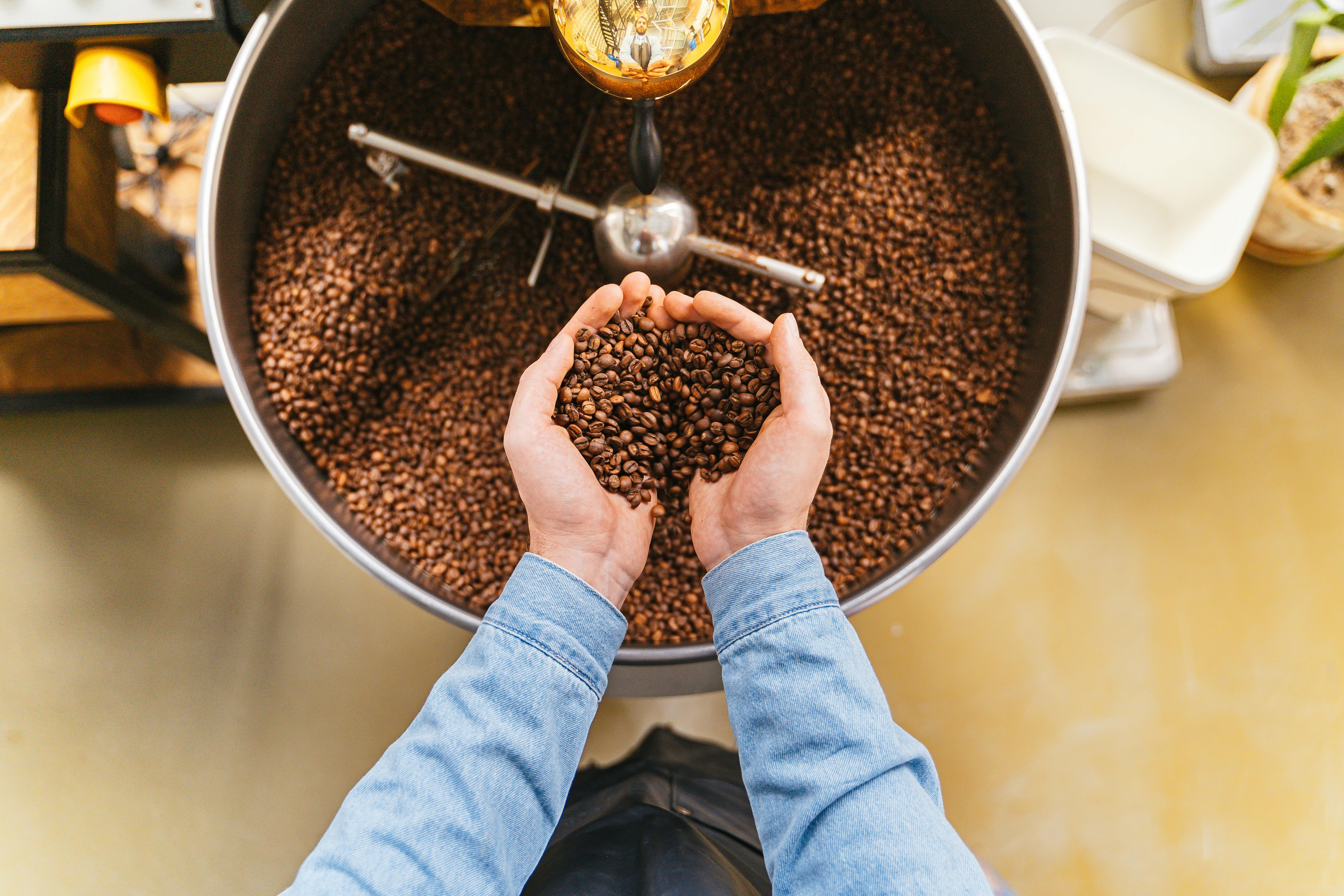 Person holding coffee beans in front of a coffee grinder
