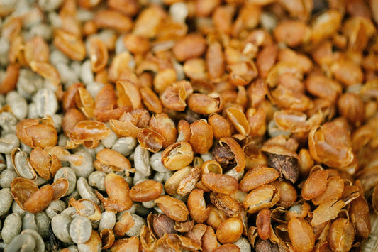 Honey Processed Coffee