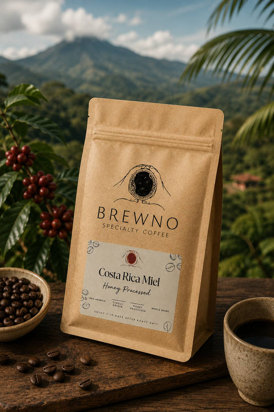 Costa Rica Miel (Honey Processed)