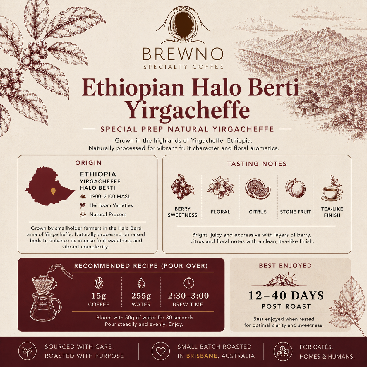Ethiopian Halo Beriti - Special Prep Natural Yirgacheffe - Light Roast