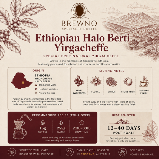 Ethiopian Halo Berti Yirgacheffe | Natural Process Single Origin Light Coffee