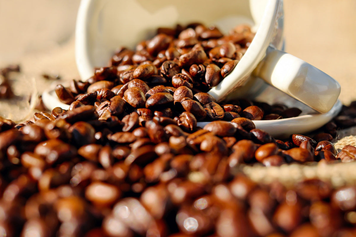 Roasted coffee beans spilling out of a white scoop onto a surface.
