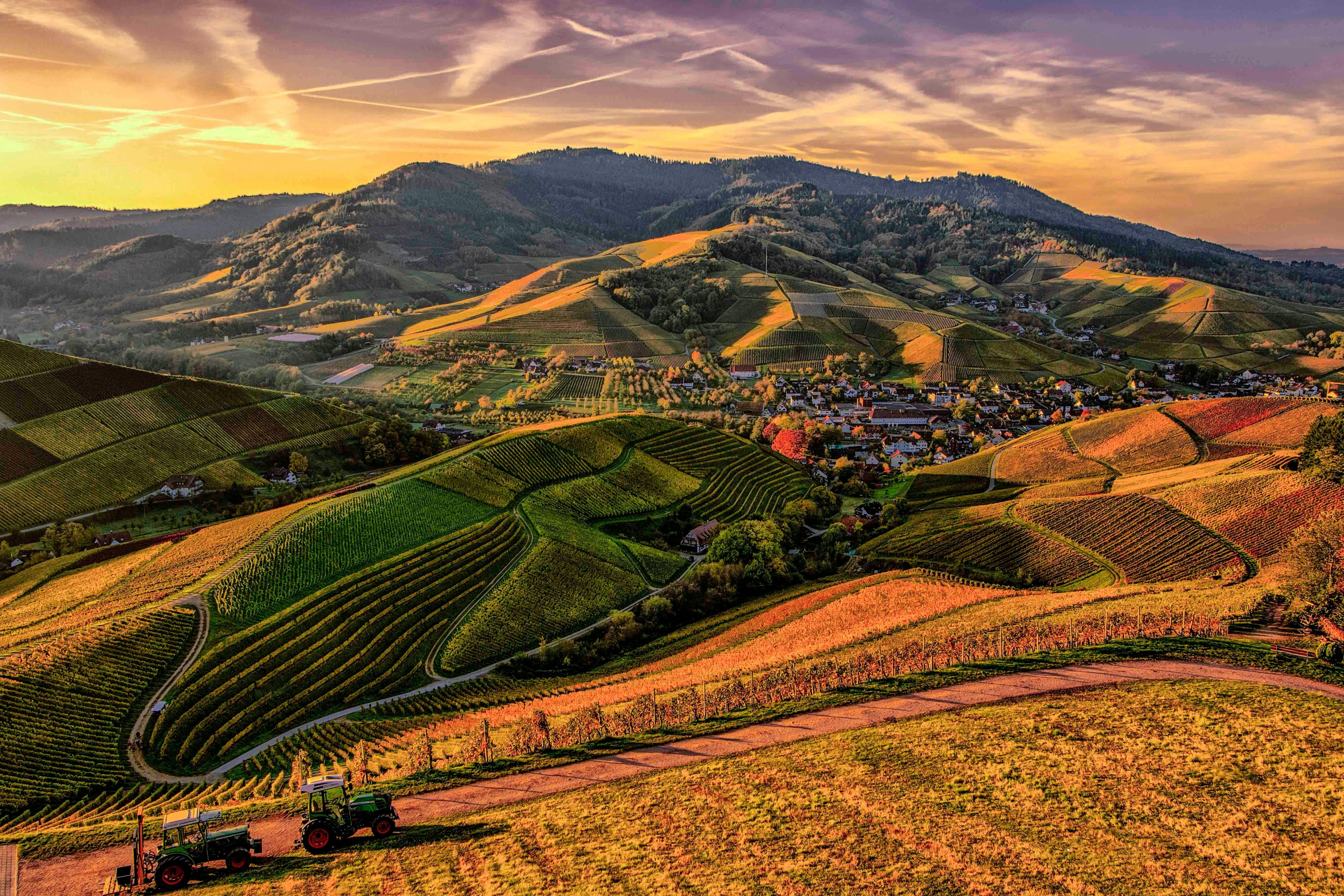 Hilly landscape with vineyards and a small town at sunset.