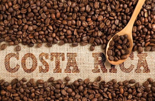 Costa Rica Miel (Honey Processed)