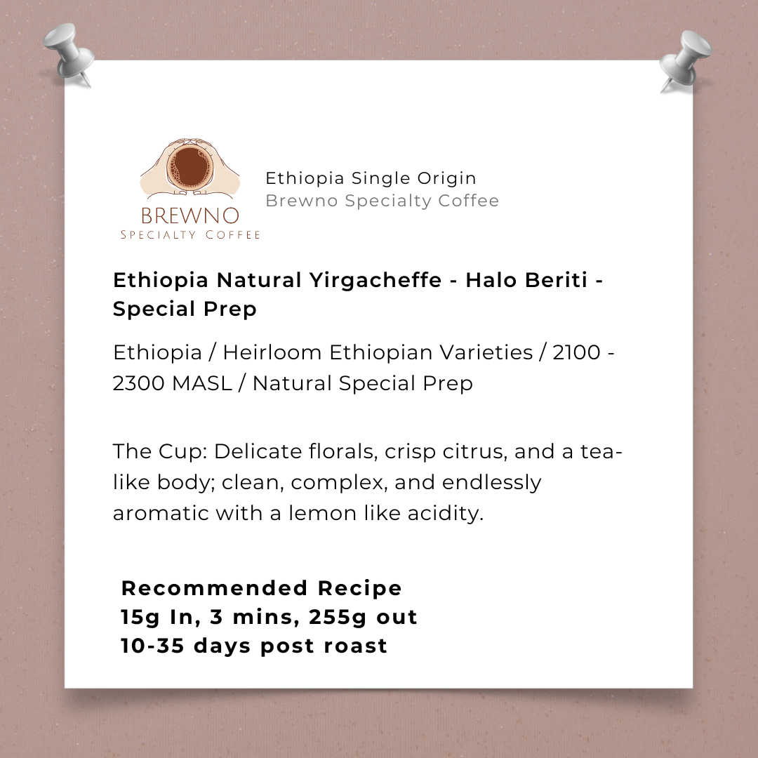 Ethiopian Halo Beriti - Special Prep Natural Yirgacheffe - Light Roast