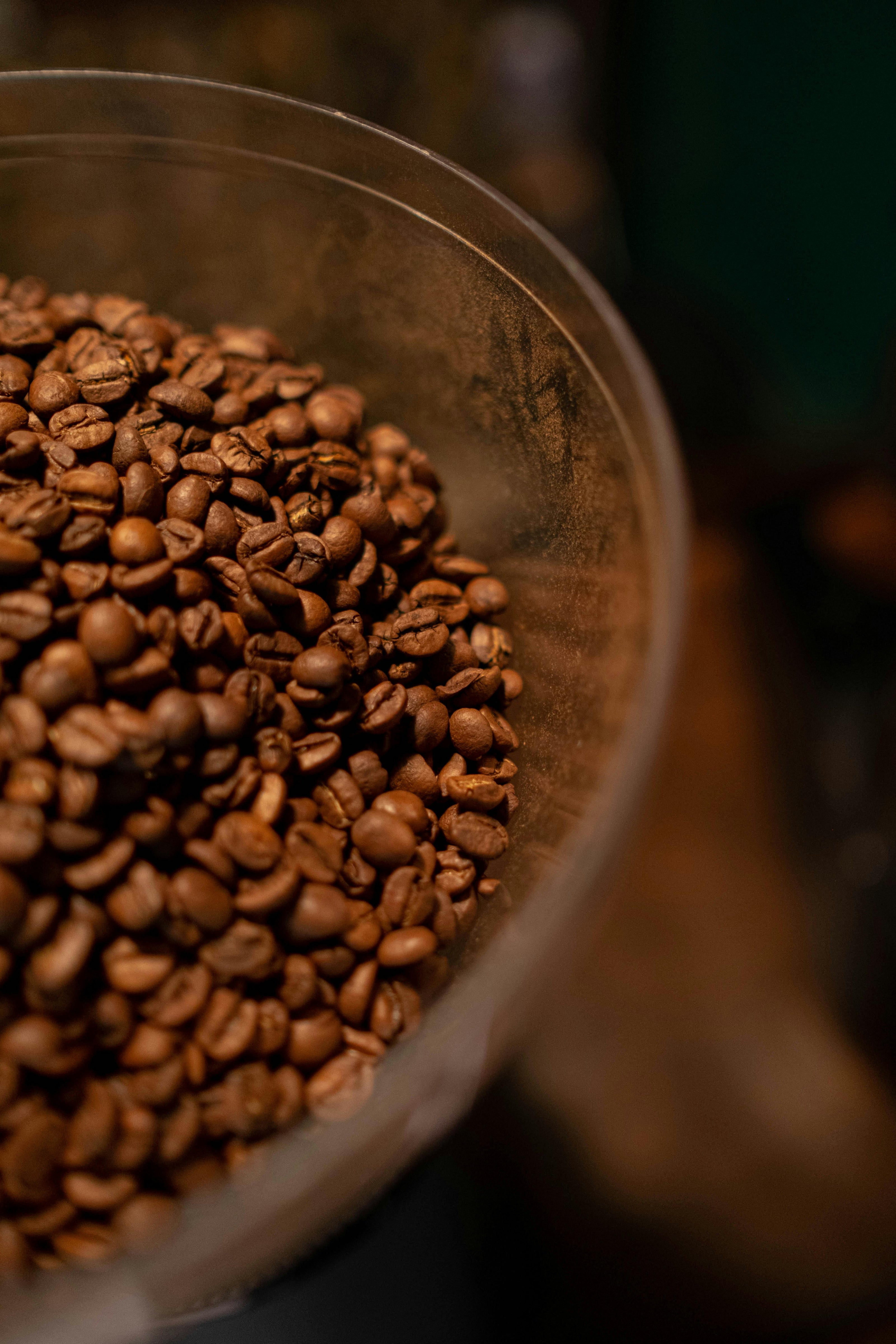 Close-up of roasted coffee beans in a transparent container with a blurred background