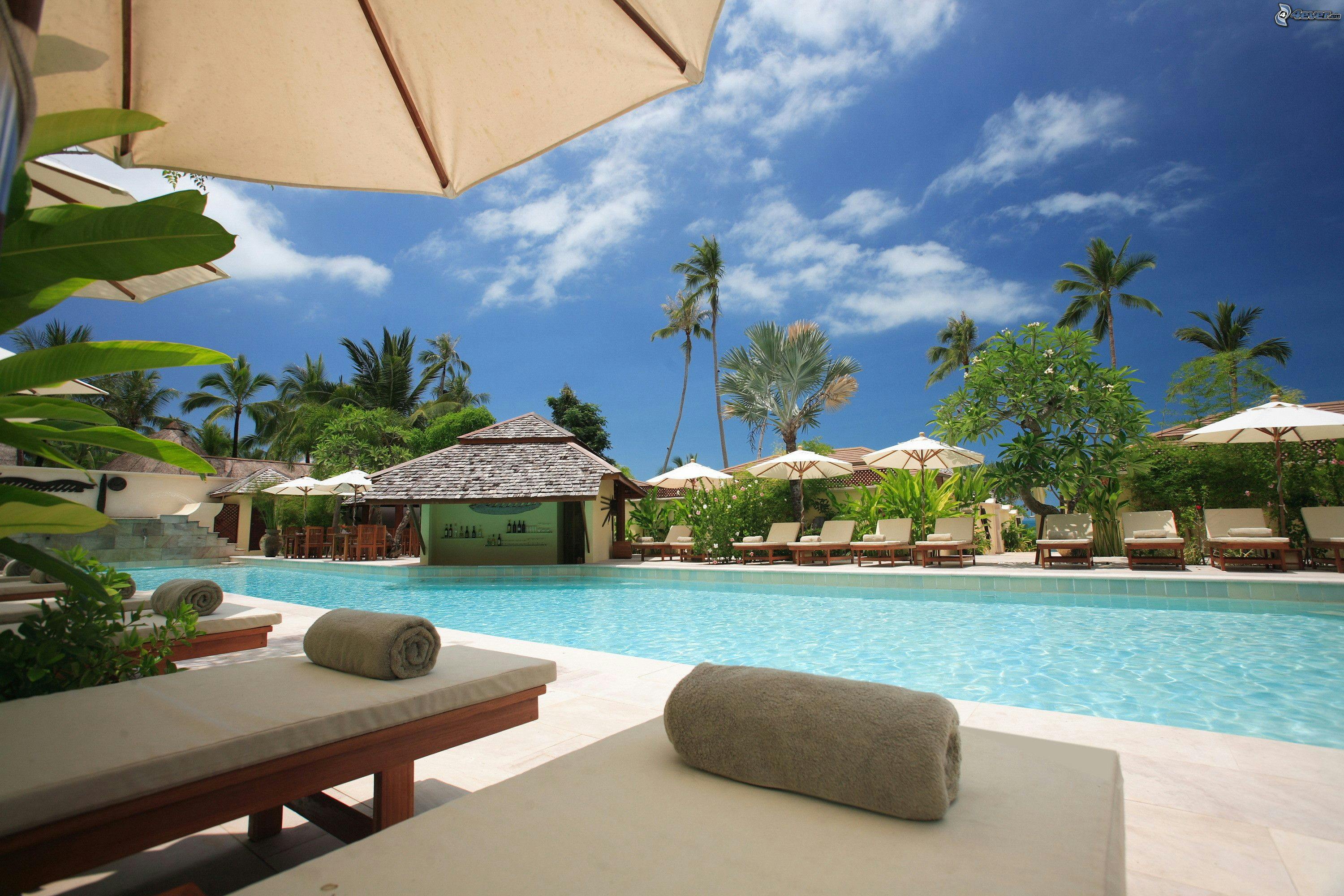 Pool area with lounge chairs, umbrellas, and palm trees under a clear blue sky.